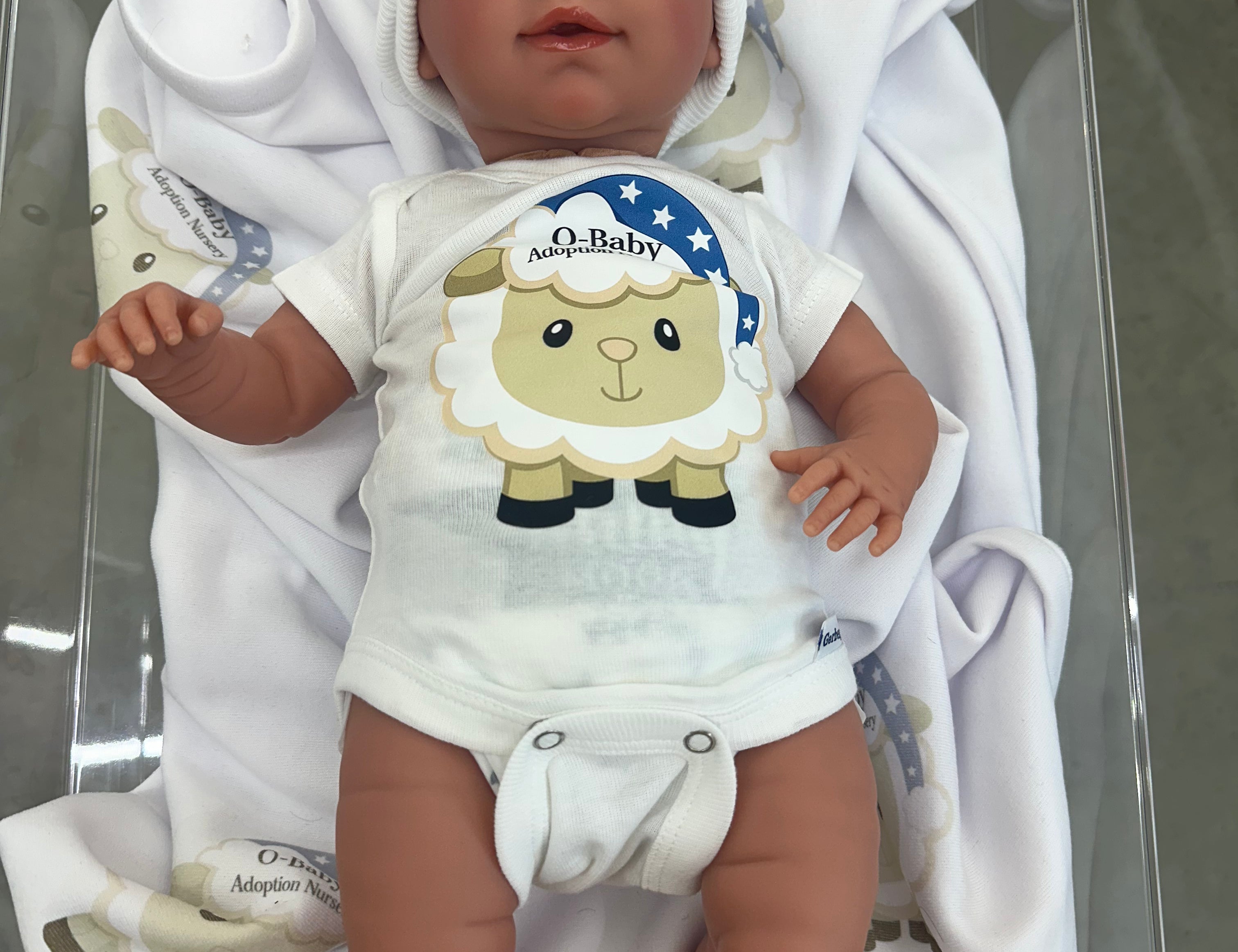Adoption Dolls Llorens