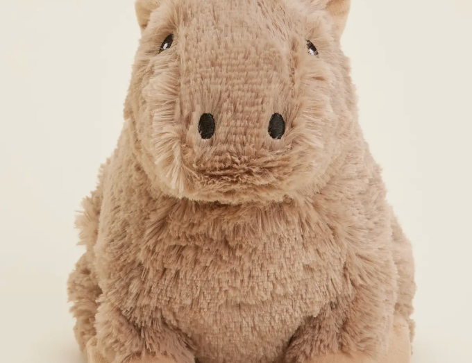 Large Warmies