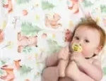 Honey Lemonade Minky Blankets