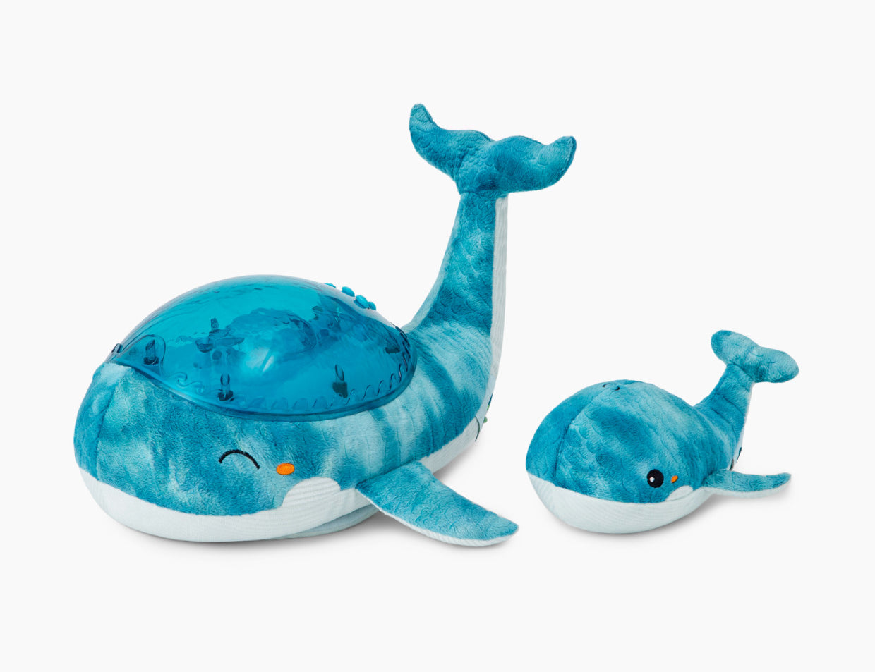 Tranquil Whale